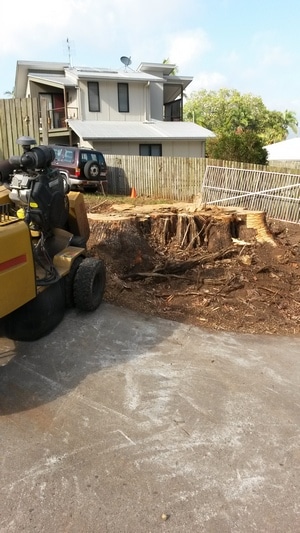Mulch — Tree removals Sunshine Coast in Yandina QLD