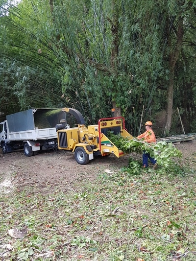Arborist on work — Tree removals Sunshine Coast in Yandina QLD