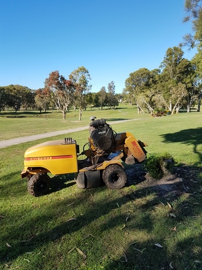 Strump griding — Tree removals Sunshine Coast in Yandina QLD
