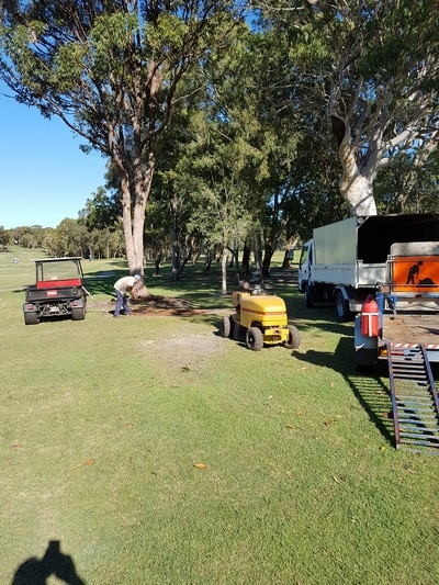 Tree Removal — Tree removals Sunshine Coast in Yandina QLD