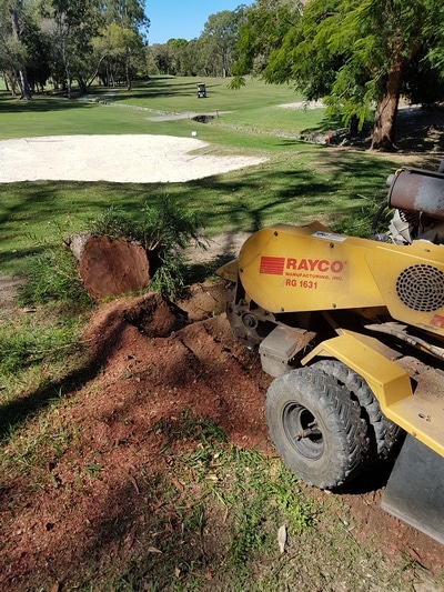 Strump — Tree removals Sunshine Coast in Yandina QLD
