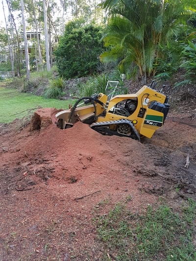 Service truck — Tree removals Sunshine Coast in Yandina QLD