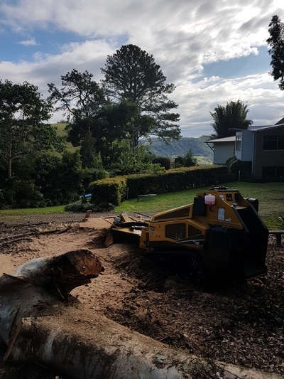 Chipping— Tree removals Sunshine Coast in Yandina QLD