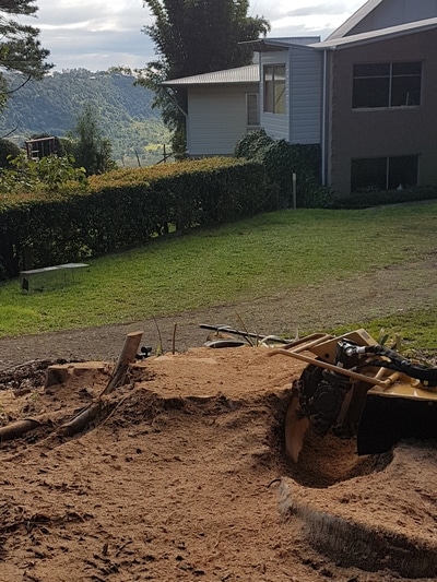 Chipping— Tree removals Sunshine Coast in Yandina QLD