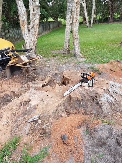 Trimming— Tree removals Sunshine Coast in Yandina QLD