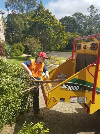 Arborist Chipping— Tree removals Sunshine Coast in Yandina QLD
