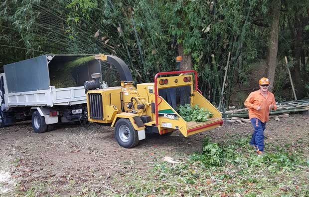 Arborist — Tree removals Sunshine Coast in Yandina QLD